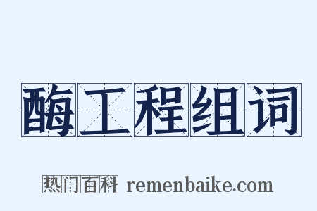 酶工程组词是什么意思的图片